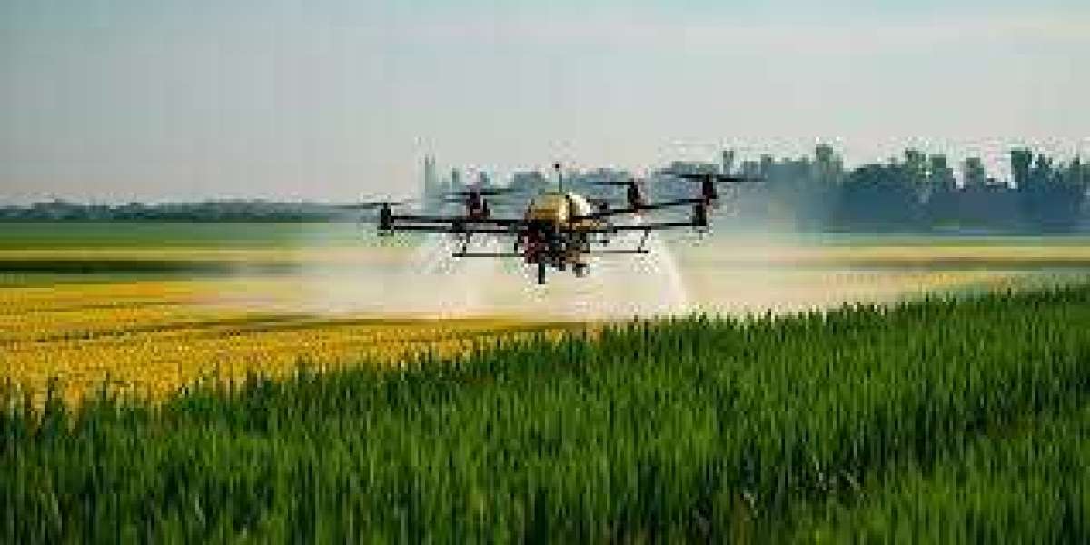 Iran Agriculture Drones Market Size, Share, Forecasts to 2033