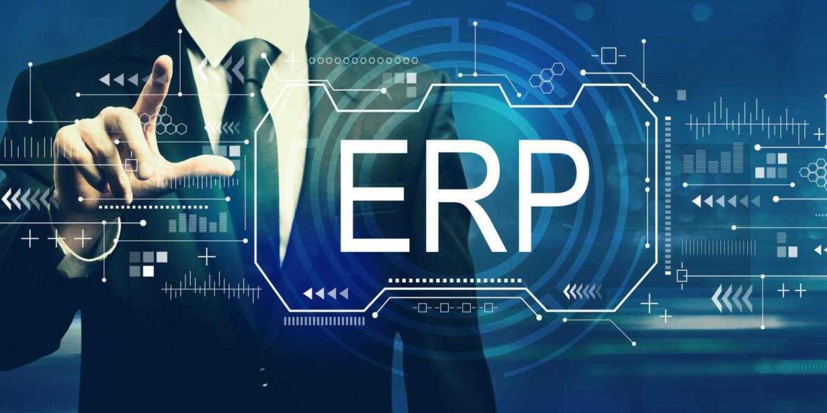 ERP Troubleshooting Services