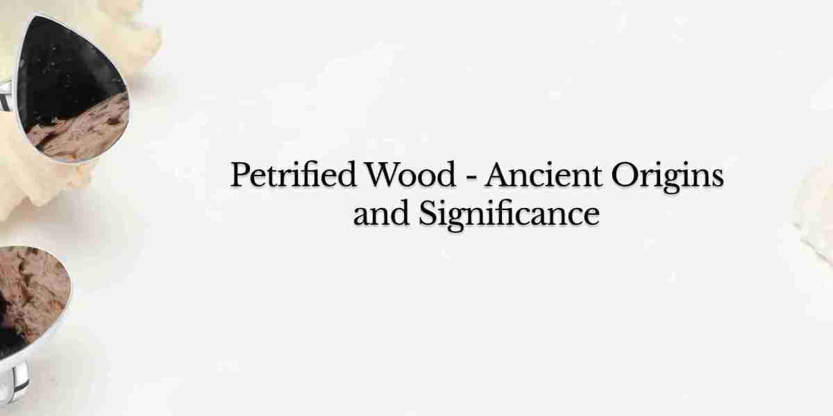 Petrified Wood Meaning, History, Healing Properties, Uses and Cleansing