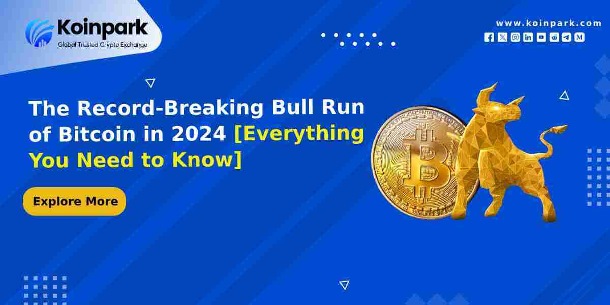 The Record-Breaking Bull Run of Bitcoin in 2024 [Everything You Need to Know]