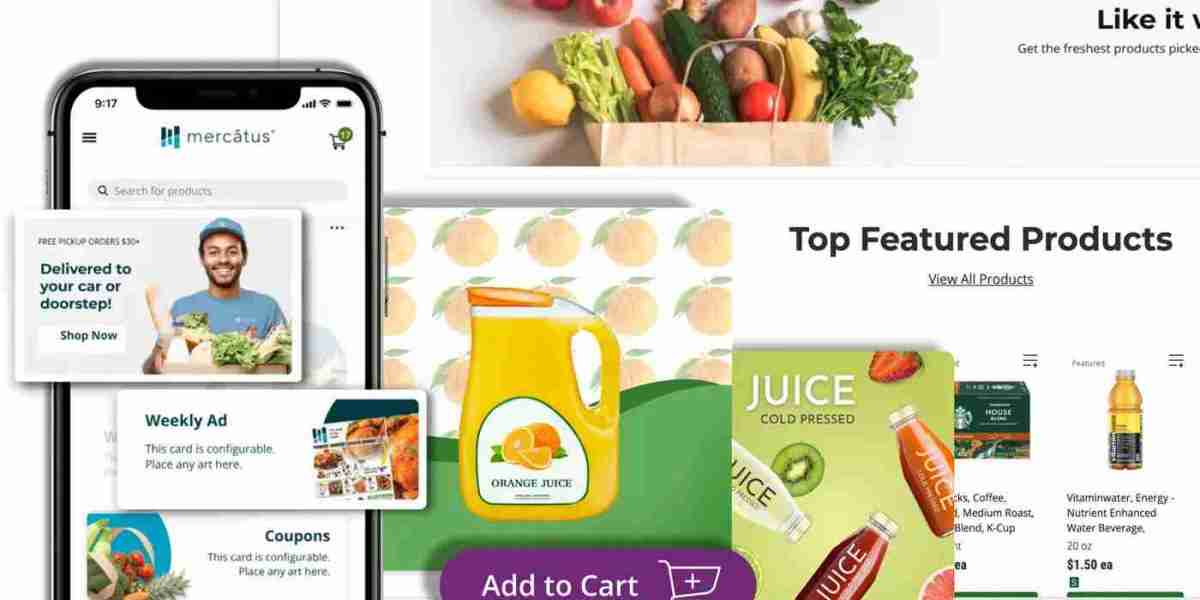 Grocery Ecommerce Software: The Future Strategy Of Retail