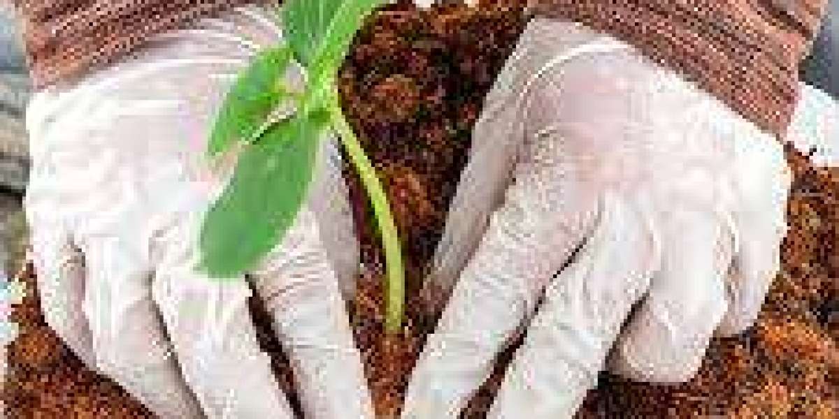 Coco Coir Market Size, Outlook Research Report 2023-2032