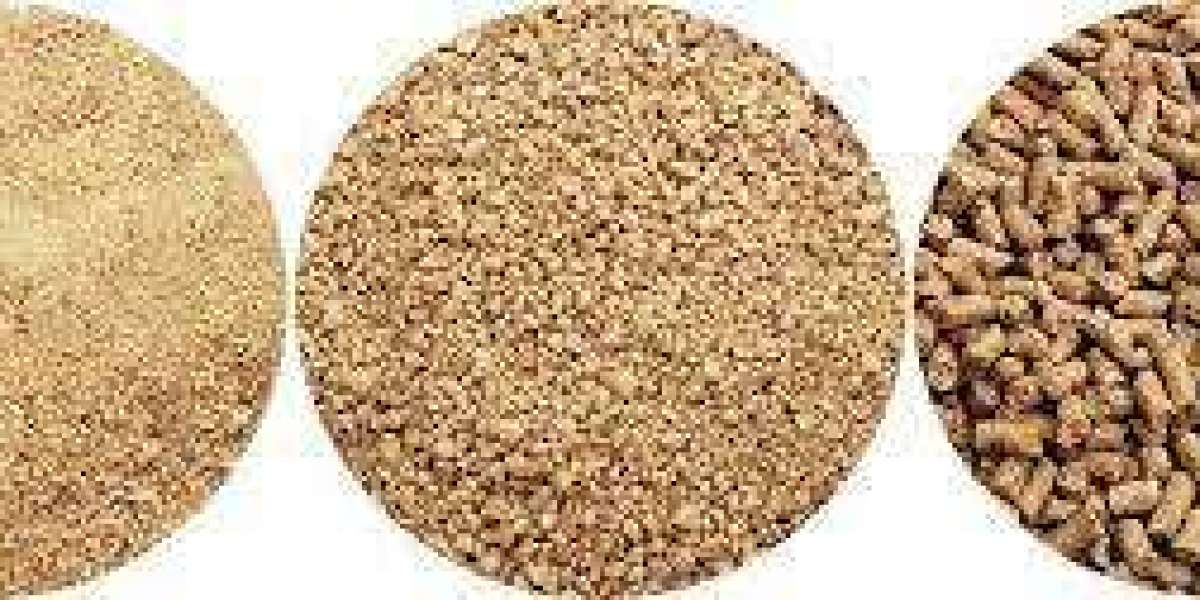 Compound Feed Market Poised for Steady Growth (2023-2032)