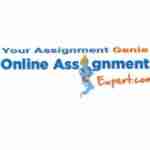 Online Assignment Expert