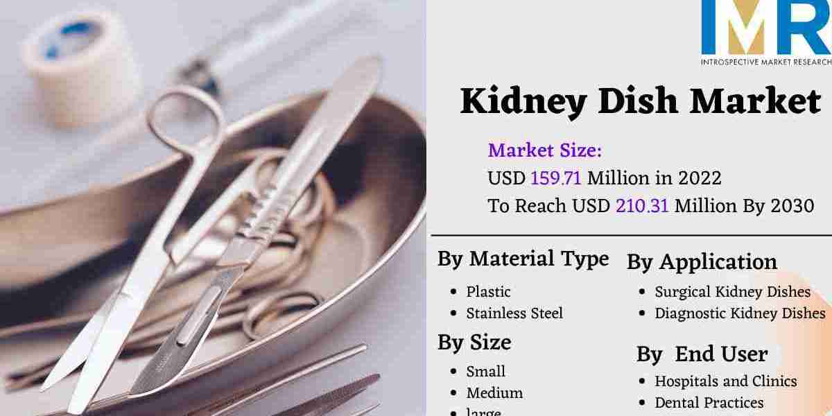 Kidney Dish Market Size to Reach USD 210.31 Million by 2030, At Growth Rate (CAGR) of 3.5% | IMR