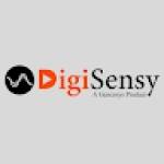 Digisensy - Digital Marketing Agency