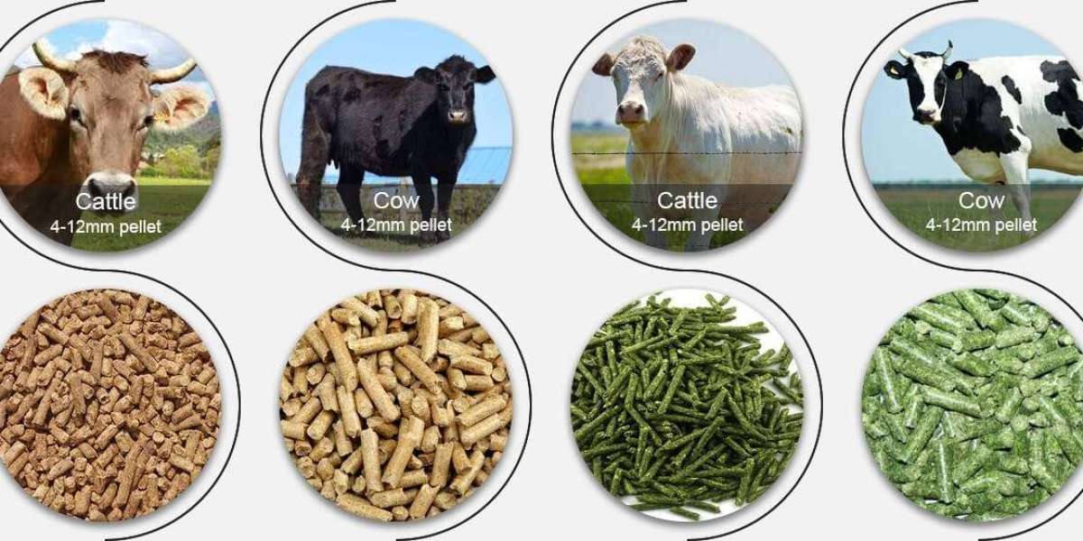 Cattle Feed Market Share, Size, Industry Growth, Outlook 2024-2032