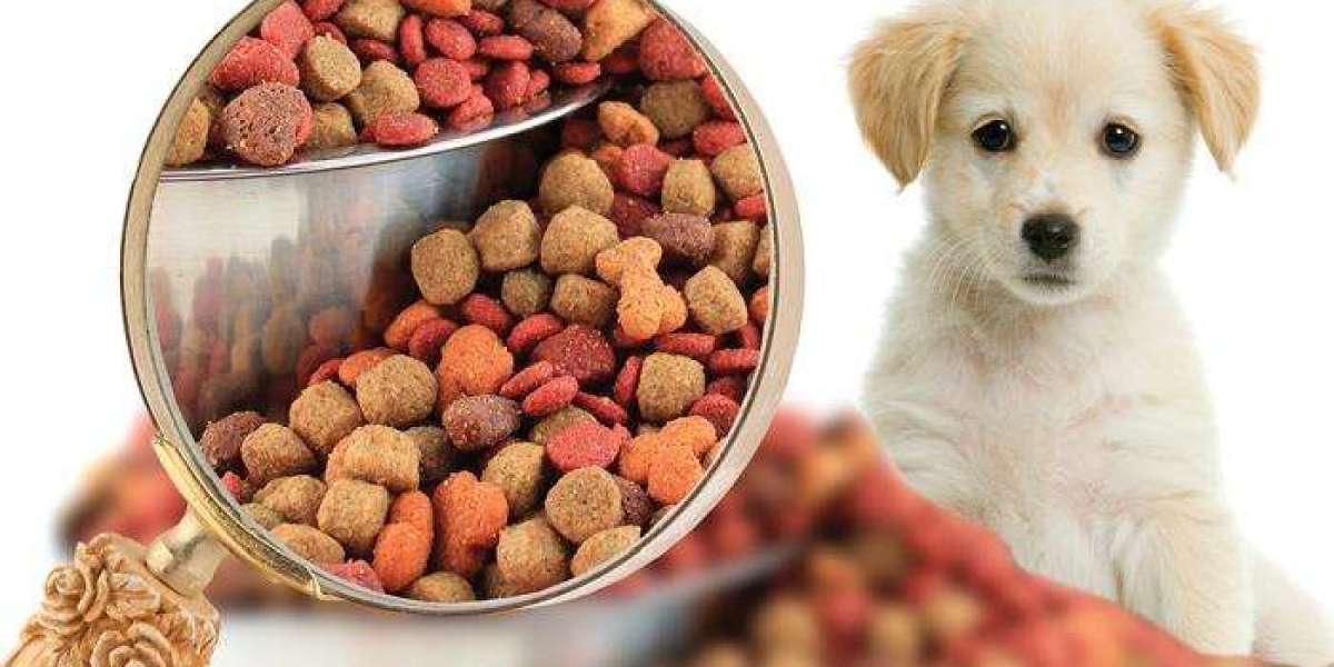 Asia-Pacific Pet Food Market Share, Trends, Industry Analysis, Forecast 2022 To 2032