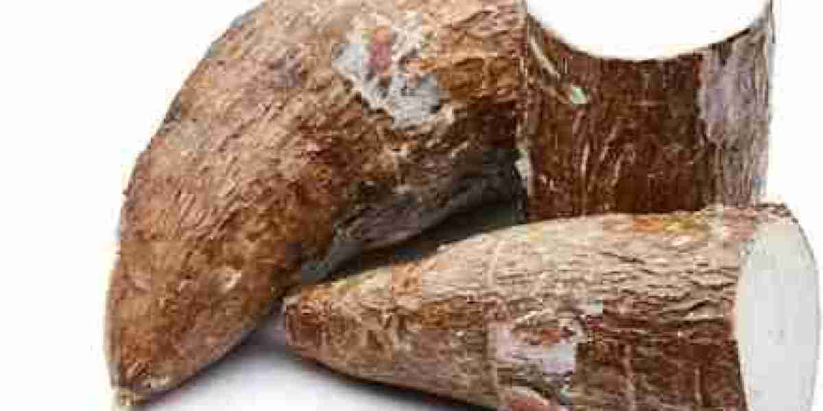 Cassava Market Share with Investment of Gross Margin, and Regional Demand till 2032