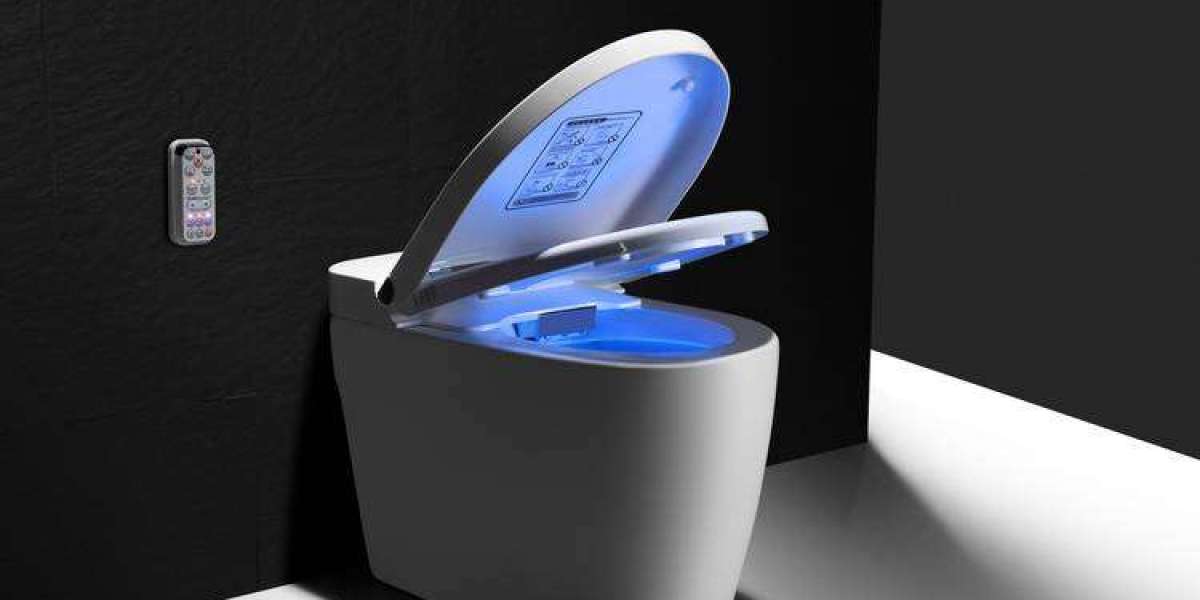 Smart Toilet Seat Market Size, Outlook Research Report 2023-2032