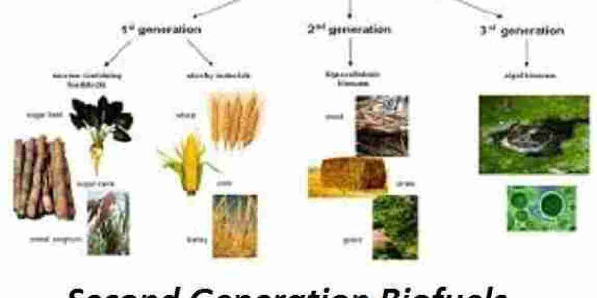 Second Generation Biofuels Market 2023 | Industry Demand, Fastest Growth, Opportunities Analysis and Forecast To 2032