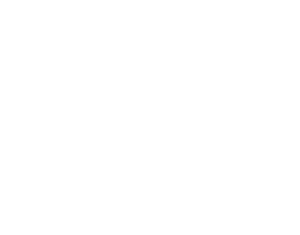 new-home-construction - Altamontconstructional