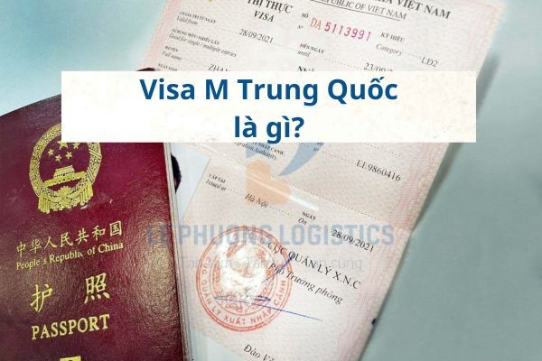 Visa M Trung Quốc là gì? Các loại visa và lệ phí xin visa M