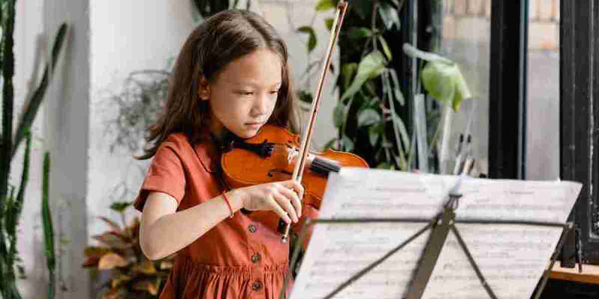 Discover Harmony: Violin Lessons at Volo Academy Of Music