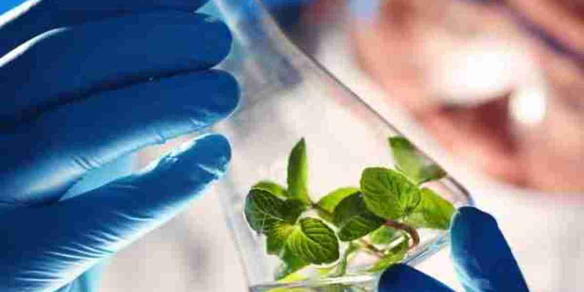 Biotechnology and Pharmaceutical Services Outsourcing Market Top Competitive Analysis 2024 – 2032