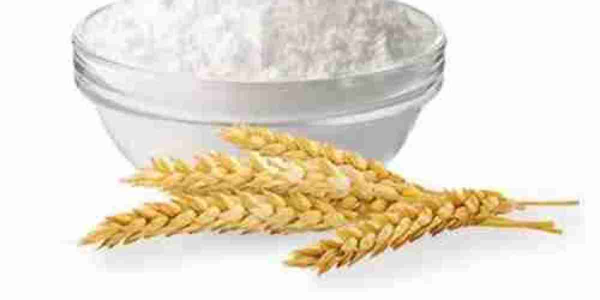 Wheat Starch Manufacturing Plant Project Report 2024, Manufacturing Process, Business Plan, Setup Details and Cost Analy