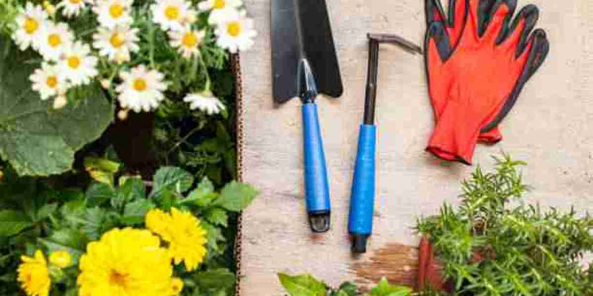 Introduction to Garden Raking and the Importance of Choosing the Right Tool