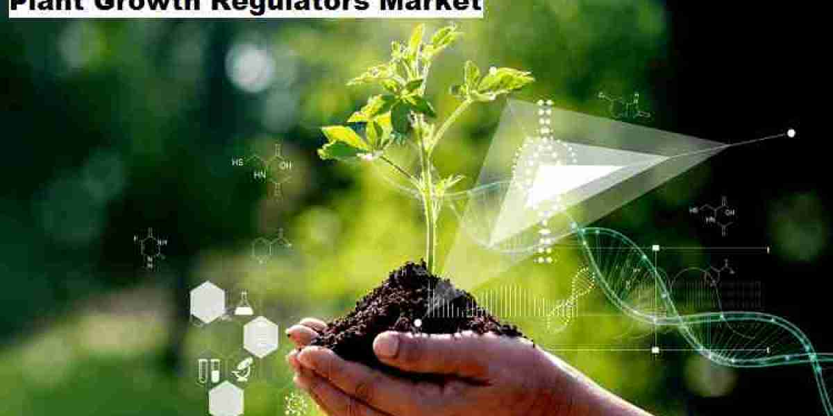 Plant Growth Regulators Market 2029 is Anticipated to Register Robust Growth