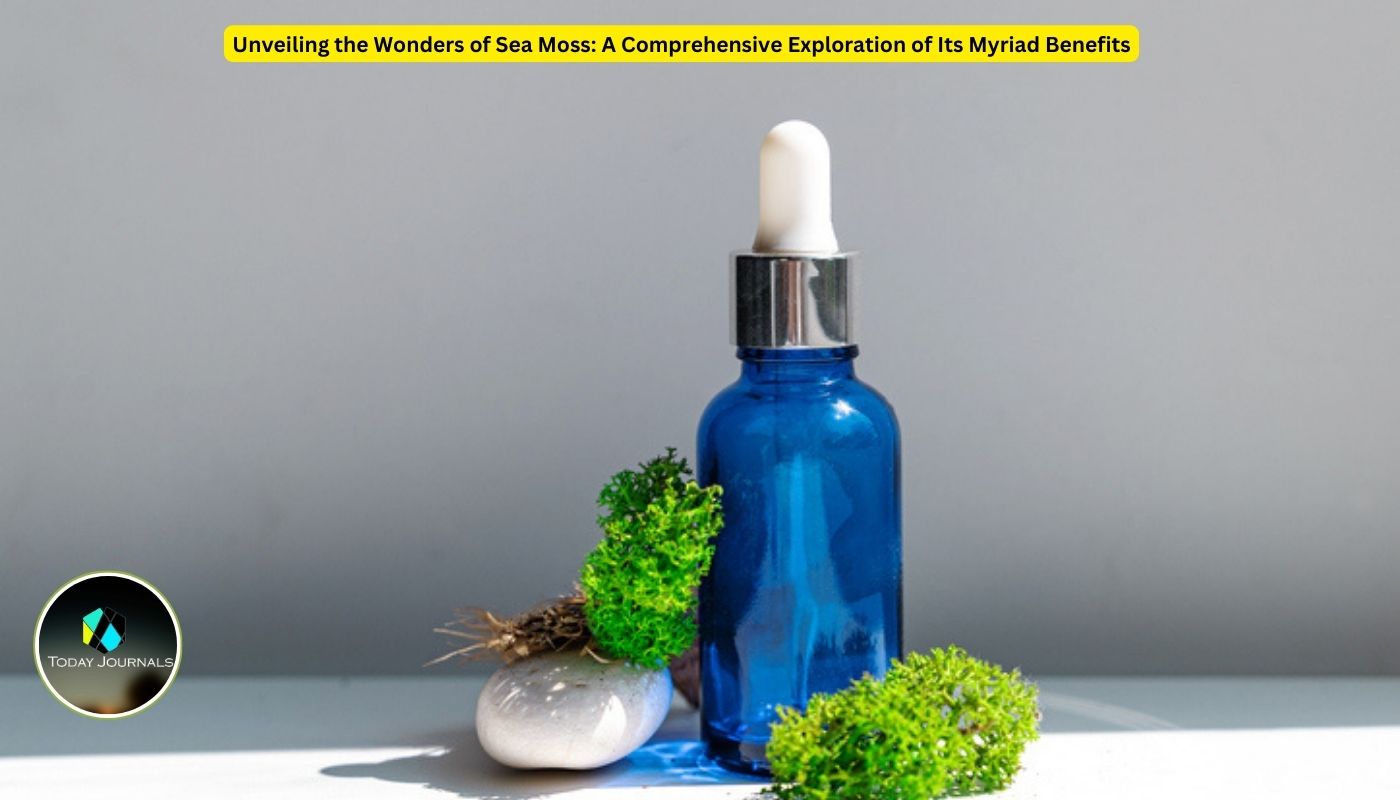 Unveiling the Wonders of Sea Moss: A Comprehensive Exploration of Its Myriad Health Benefits - Today Journals