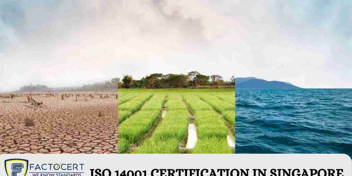 What are the current trends in Singapore’s adoption of the ISO 14001 certification?