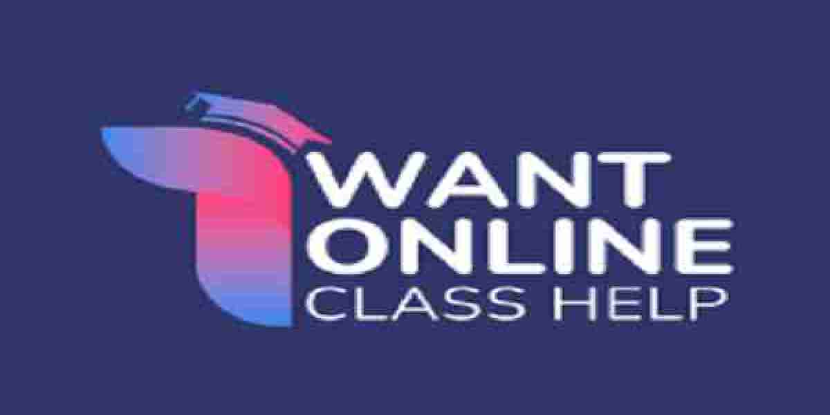 I Want Online Class Help