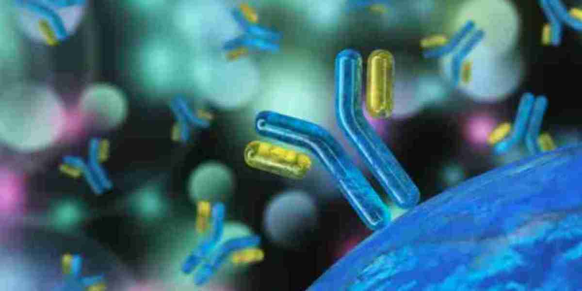 Antibody Discovery Market Overview, Top Key Players, Growth Analysis Forecast 2030
