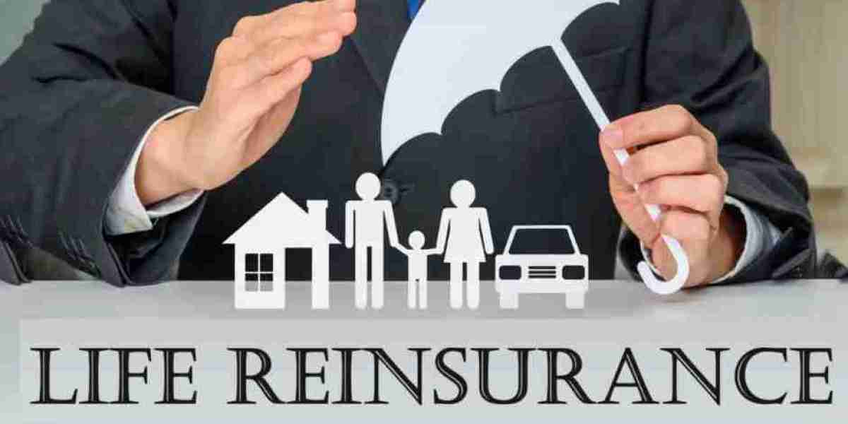 Life Reinsurance Market 2023 Major Key Players and Industry Analysis Till 2032