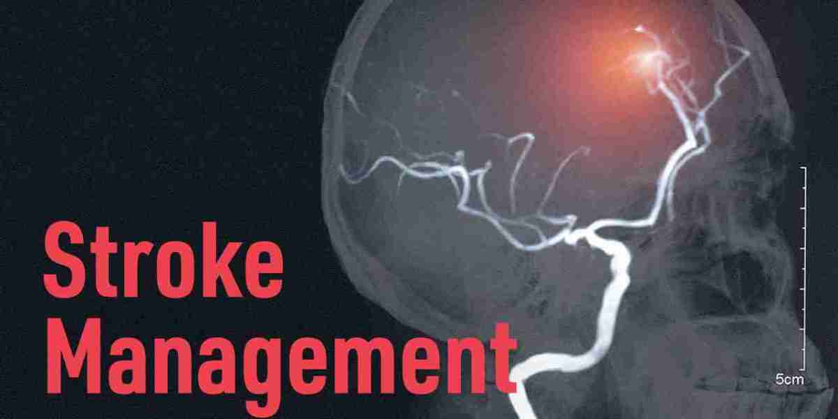 Stroke Management Market Size, Share, Growth, Opportunities and Global Forecast to 2032