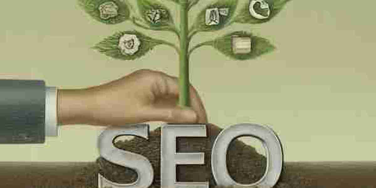 Top Rated 10 Best SEO Agencies in Florida