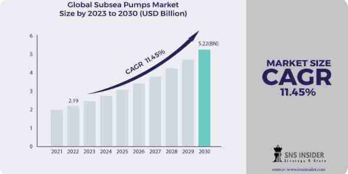 Understanding the Scope: Subsea Well Access Market Analysis and Forecast for 2031