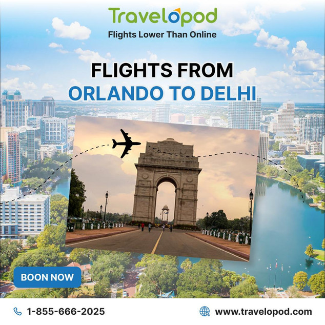 Budget-Friendly Adventures: Your Guide to Orlando to Delhi Flights - JustPaste.it