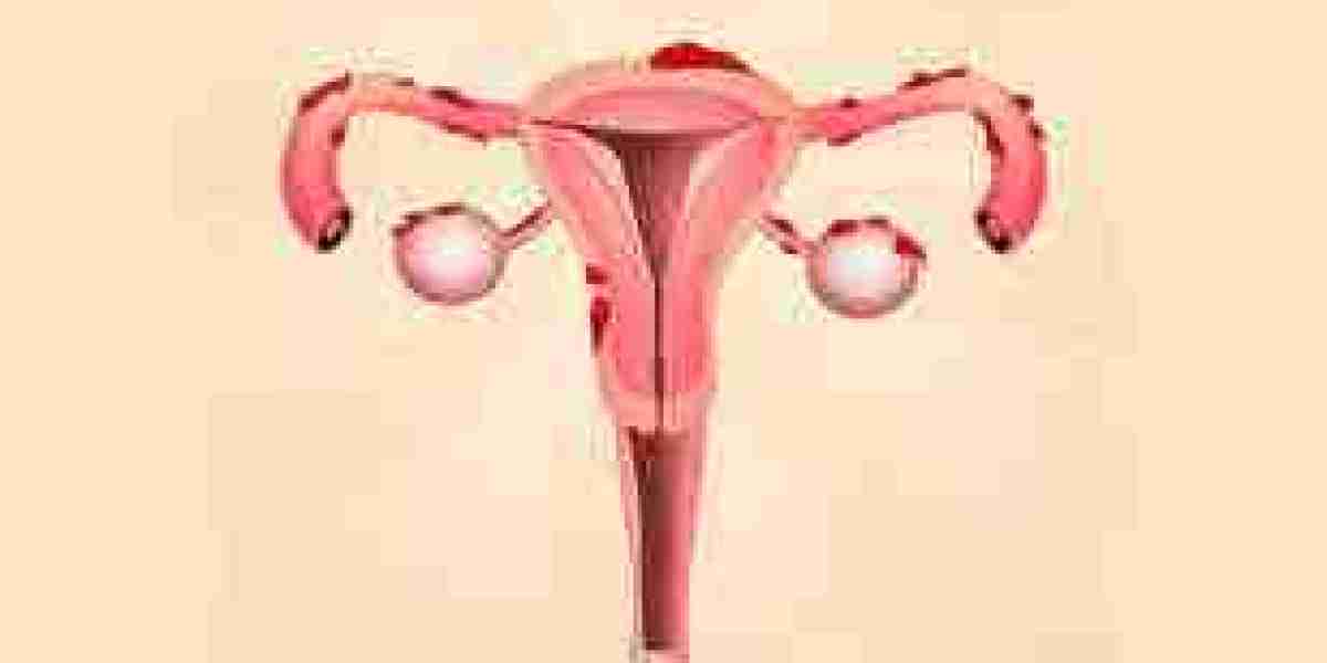 2024 Endometrial Cancer Market | Report By 2034