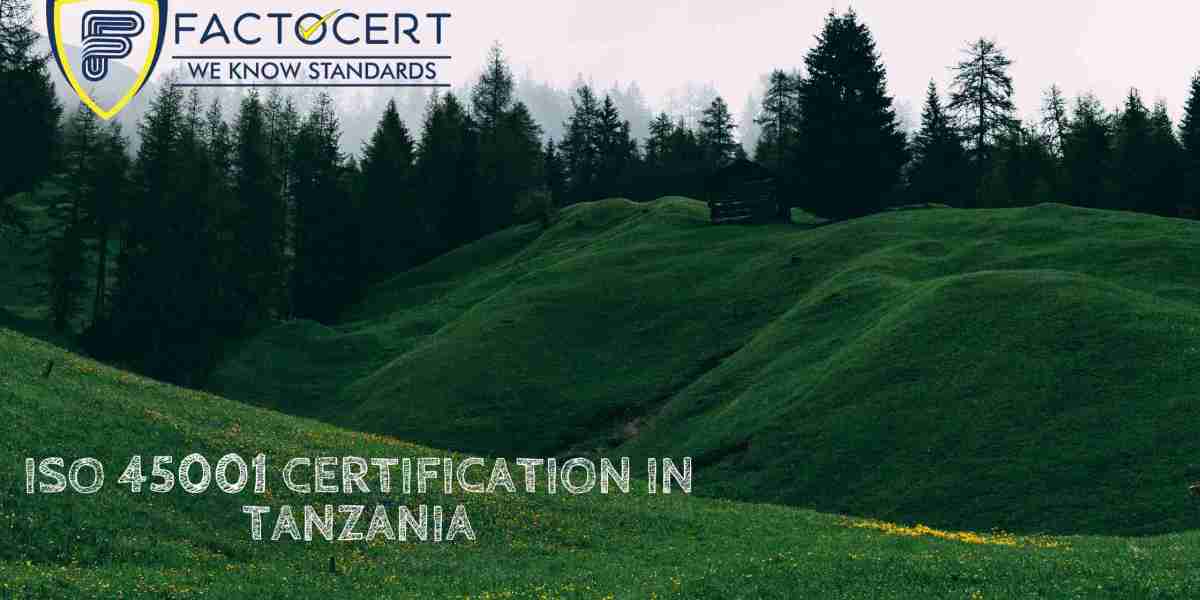 Safeguarding Your Workforce: A Comprehensive Guide to ISO 45001 Certification in Tanzania