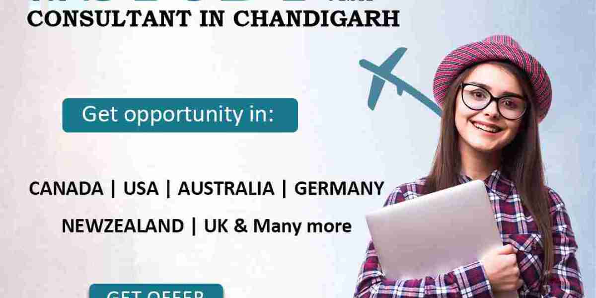 How do I Choose a Study visa Consultant in Chandigarh?