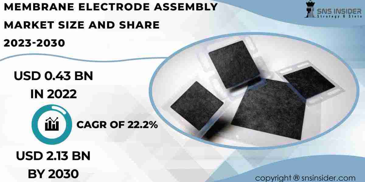 Exploring the Untapped Markets in the Global Membrane Electrode Assembly Industry