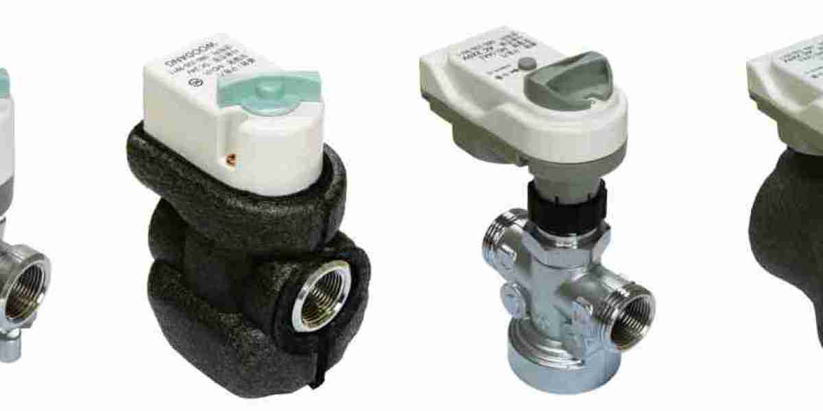 Hybrid Valve Market: Opportunities for Collaboration and Partnership in Industry Innovation