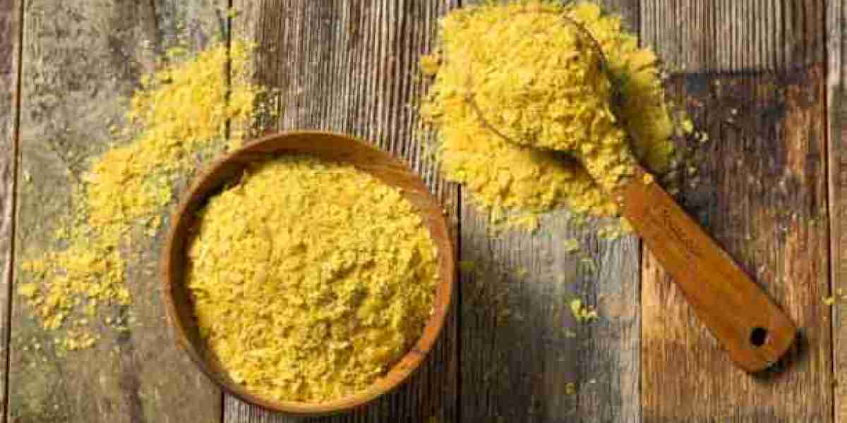 European Cheese Powder Market Size, Industry Trend, Growth, Company Profiles and Forecast to 2032