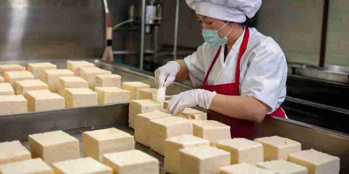 Tofu Manufacturing Plant Project Report 2024: Machinery, Raw Materials and Investment Opportunities