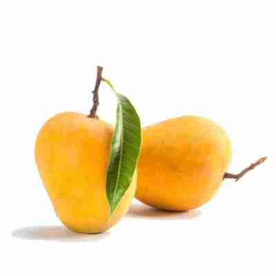 Buy Alphonso Organic Mangoes Online| Earthy Tales Profile Picture