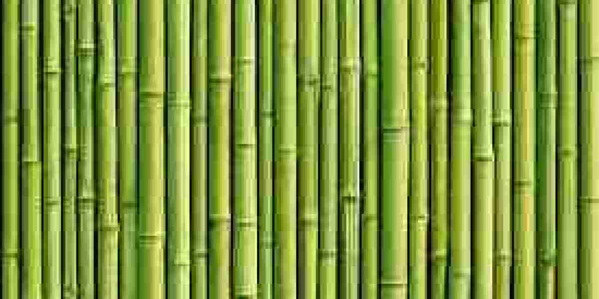 Bamboos Market Analysis, Business Development, Size, Share, Trends, Industry Analysis, Forecast 2024 – 2032