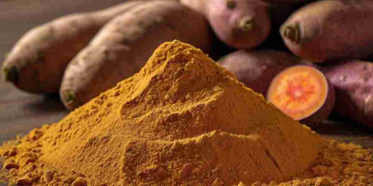 Sweet Potato Powder Manufacturing Plant Project Report 2024: Machinery, Raw Materials and Investment Opportunities