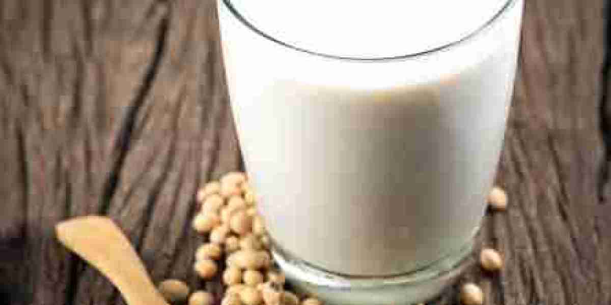 US Soy Milk Market Research with Segmentation, Growth, and Forecast 2030