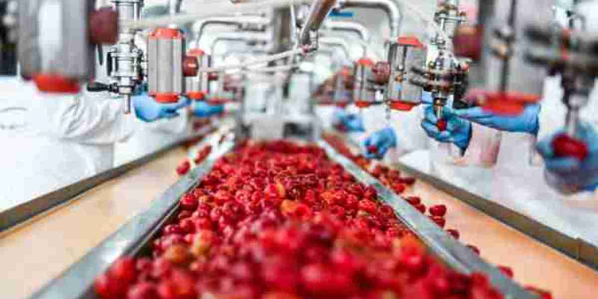 Germany Fruit Concentrate Market Development Status, Competition Analysis, Type and Application, forecast year 2030