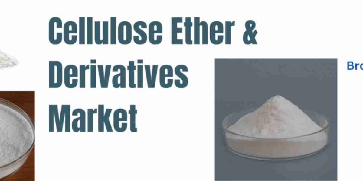 Eco-Friendly Evolution: Mapping the Rise of Cellulose Derivatives Market