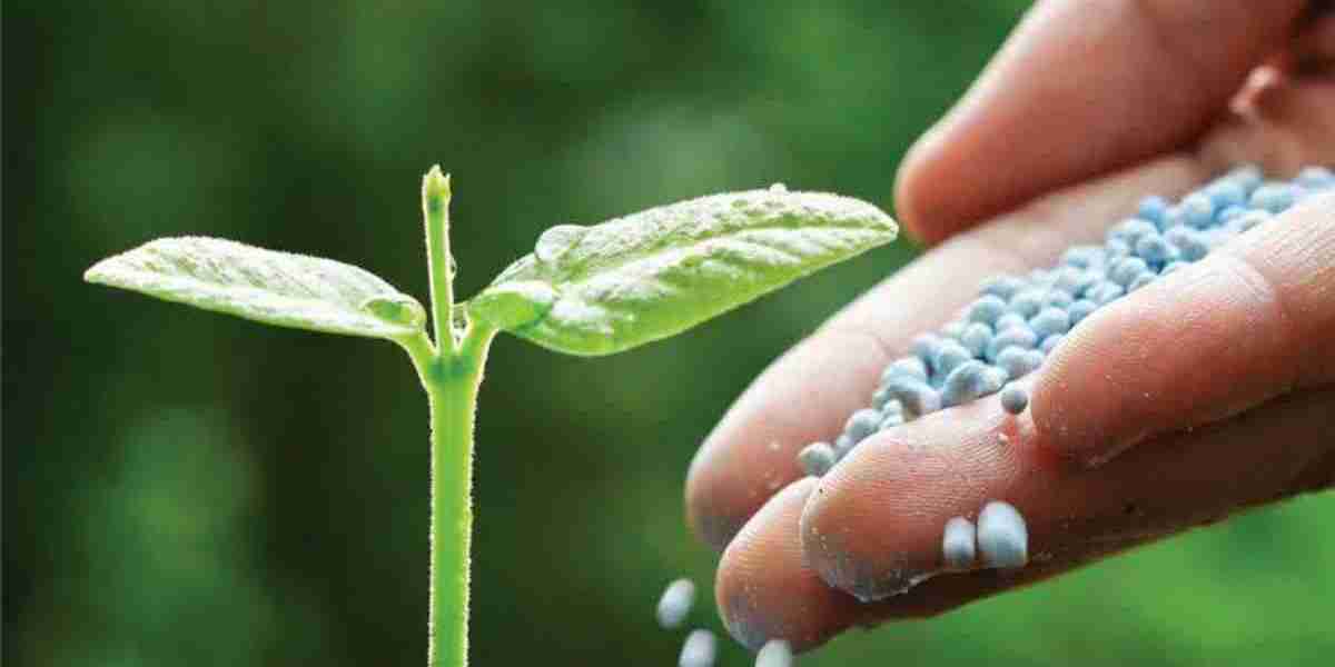 Biofertilizer Technology Market Size, Share, Growth, Opportunities and Global Forecast to 2032