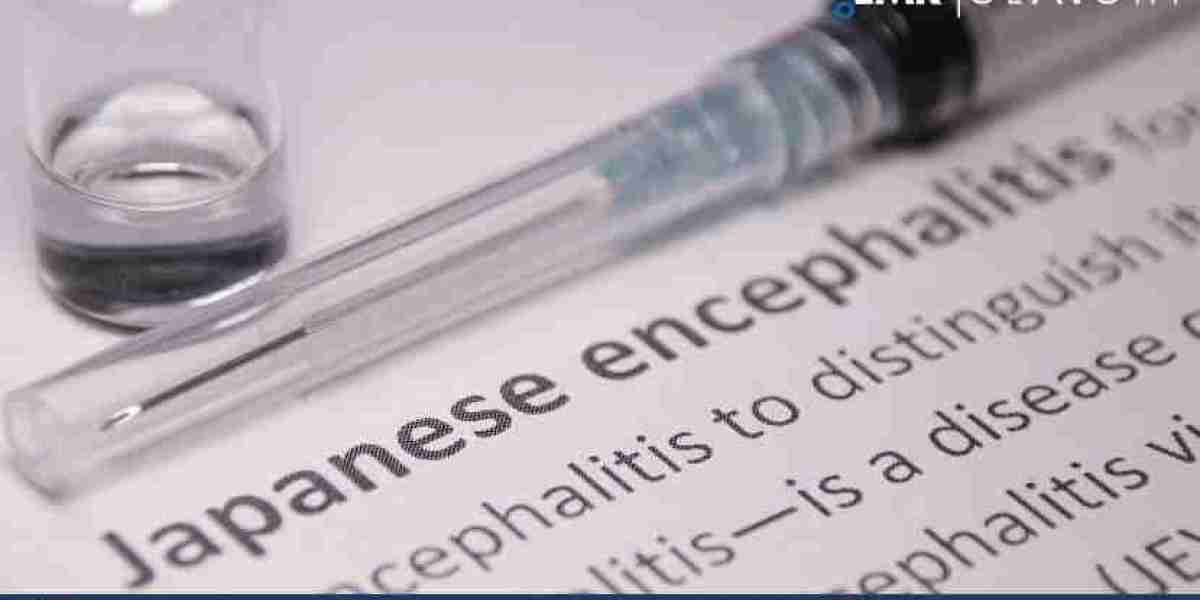 Driving Forces and Future Prospects: The JE (Japanese Encephalitis) Vaccine Market Landscape