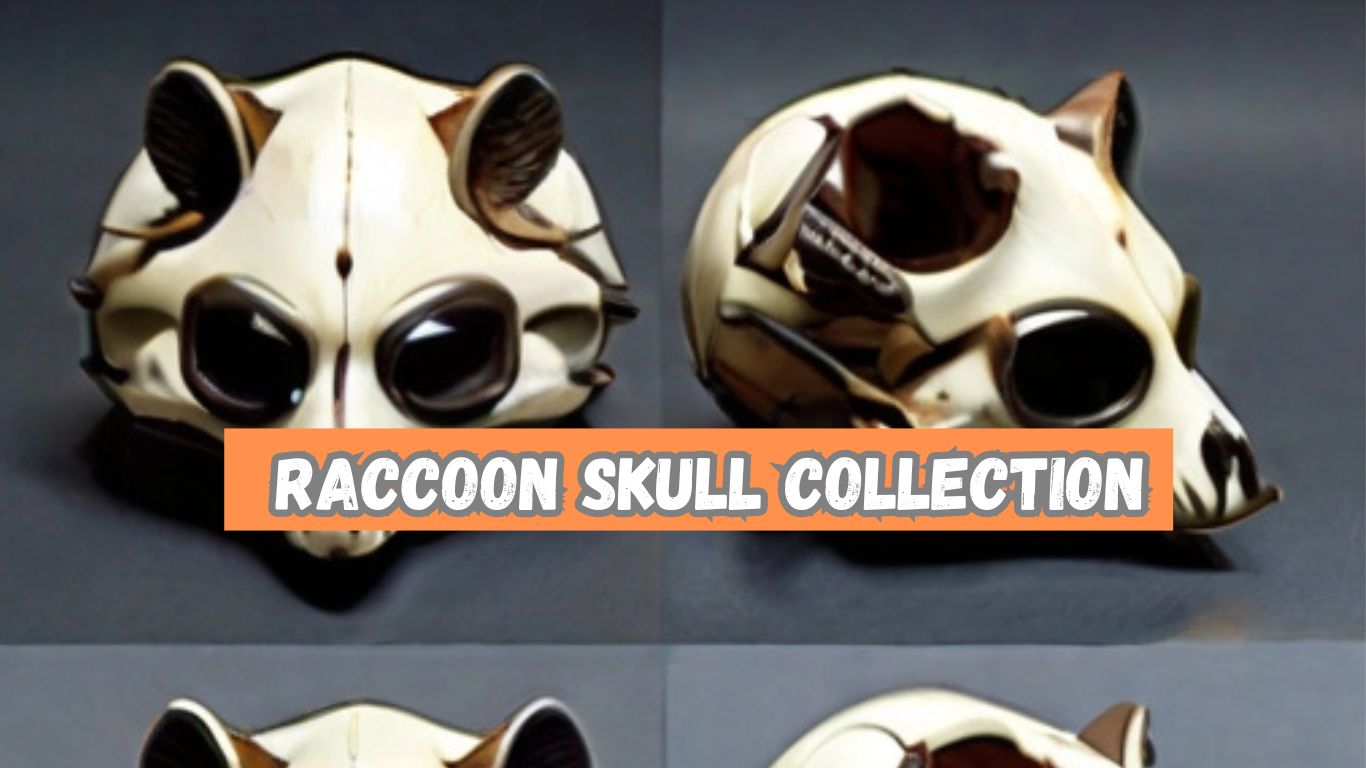 15+ Raccoon skull Ideas ( For 2024 )