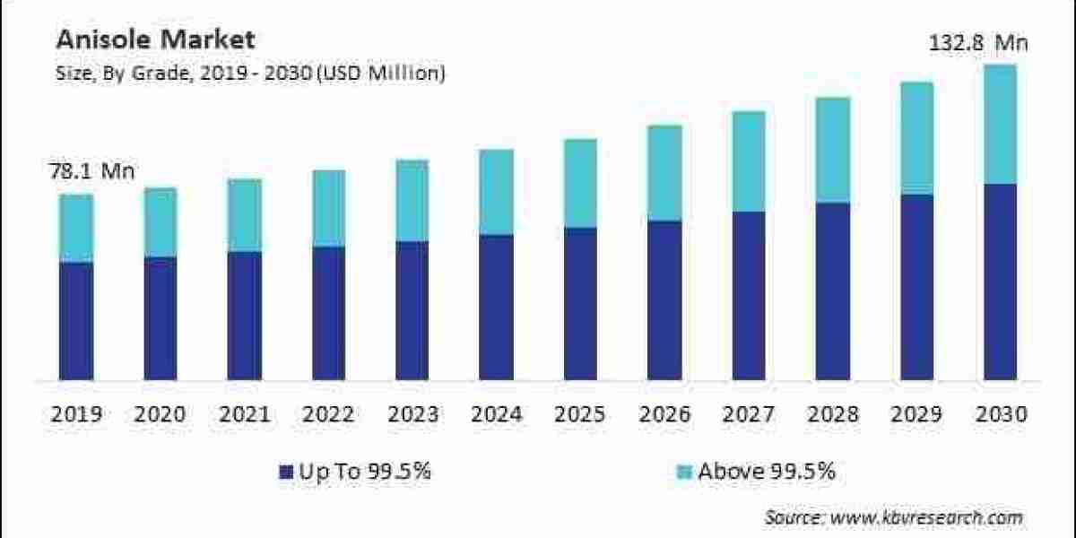 Analyzing the Anisole Market| Market Share Trends and Forecast
