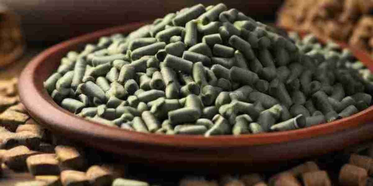 Biomass Pellets Manufacturing Plant Project Report 2024: Cost Analysis and Raw Material Requirements