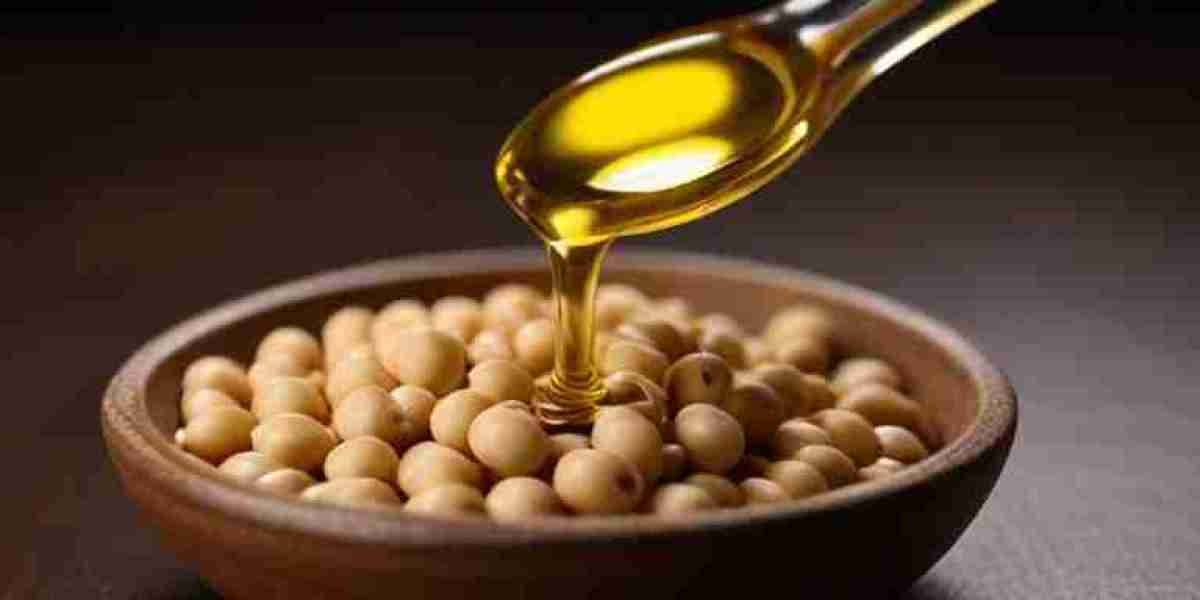 Soybean Oil Pricing Report